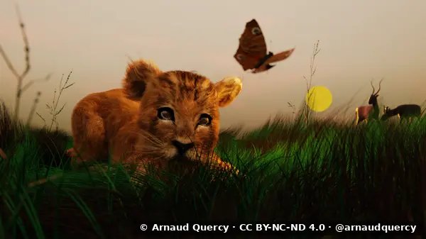 Animaux de la Savanne